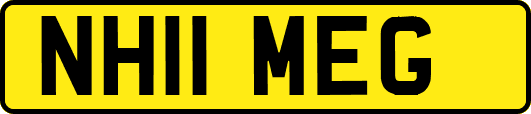 NH11MEG