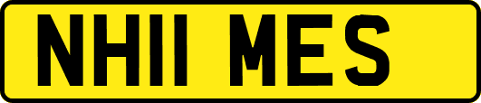 NH11MES