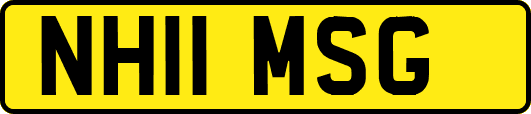 NH11MSG