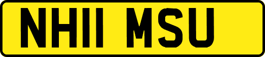 NH11MSU