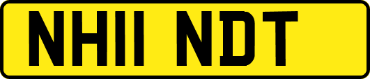 NH11NDT