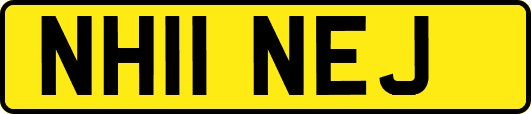 NH11NEJ