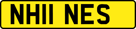 NH11NES
