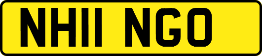 NH11NGO
