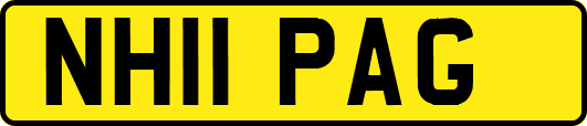 NH11PAG