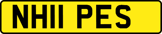 NH11PES