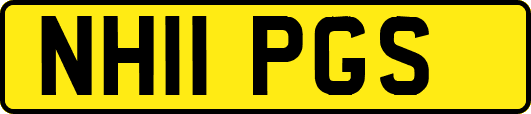 NH11PGS