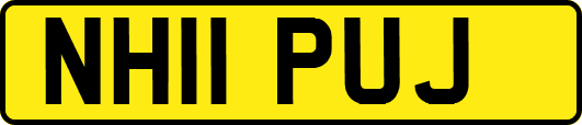NH11PUJ