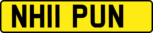NH11PUN