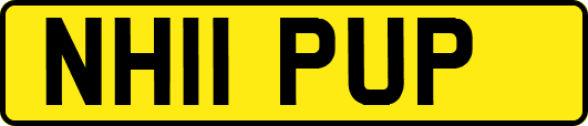 NH11PUP