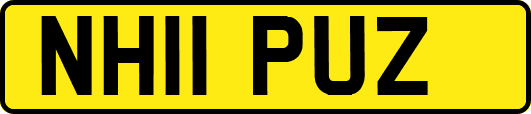 NH11PUZ