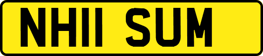 NH11SUM