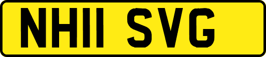 NH11SVG