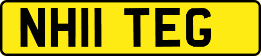 NH11TEG