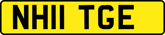 NH11TGE