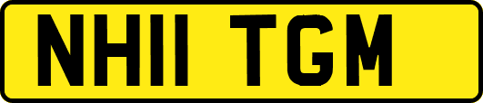 NH11TGM