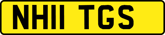 NH11TGS