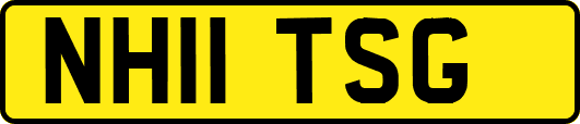 NH11TSG