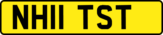 NH11TST