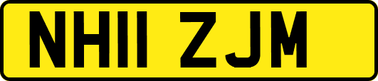NH11ZJM