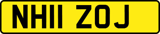 NH11ZOJ