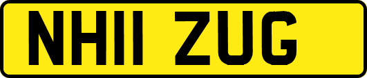 NH11ZUG