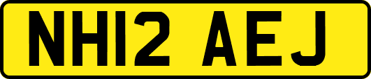 NH12AEJ