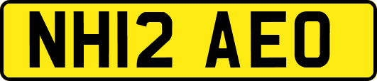 NH12AEO