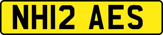 NH12AES