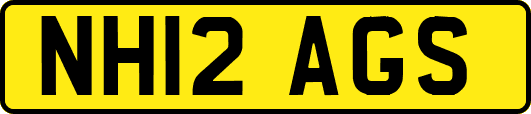 NH12AGS