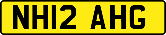 NH12AHG