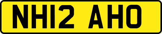 NH12AHO