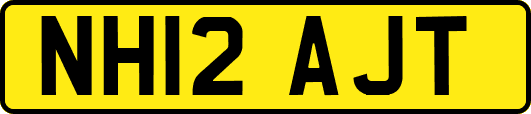 NH12AJT