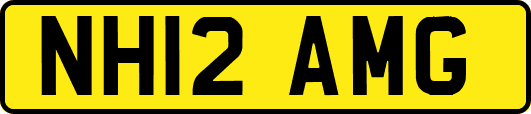 NH12AMG