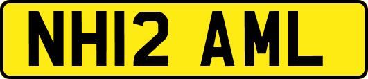 NH12AML