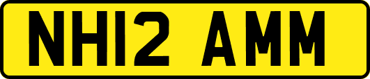 NH12AMM