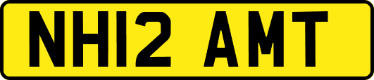 NH12AMT