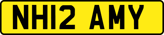 NH12AMY