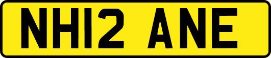 NH12ANE
