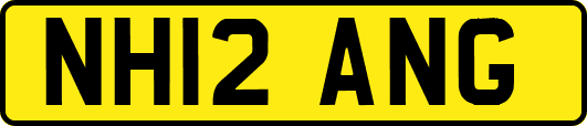 NH12ANG
