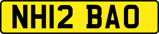 NH12BAO