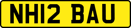 NH12BAU