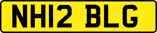 NH12BLG