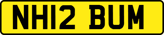 NH12BUM
