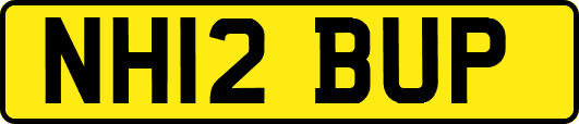 NH12BUP