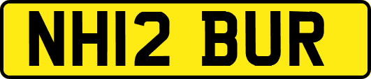 NH12BUR