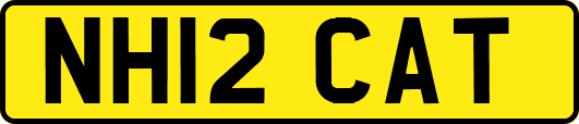 NH12CAT