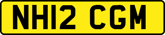 NH12CGM