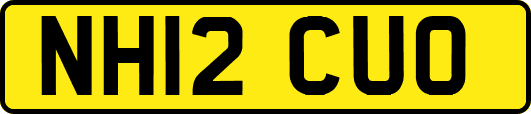 NH12CUO
