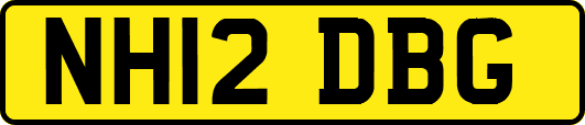 NH12DBG